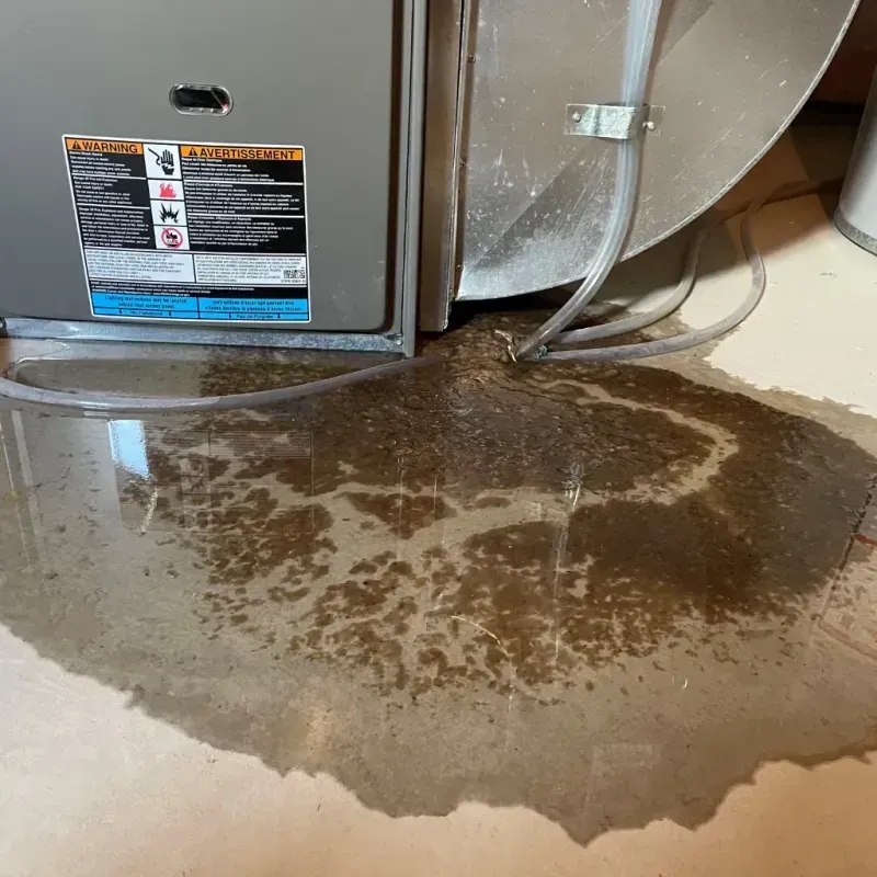 Appliance Leak Cleanup in Wayne County, NC